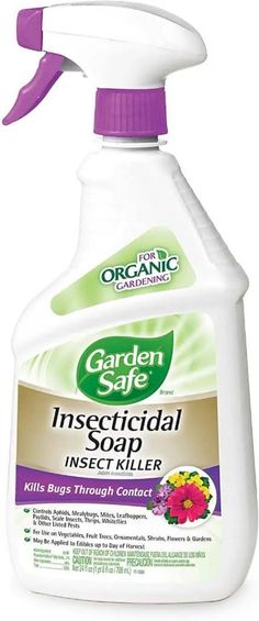 a bottle of insecticide on a white background with the words garden safe inside it