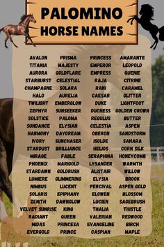 the horse names are in spanish and english