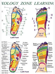 Medicine Notes, Basic Workout, Body Map