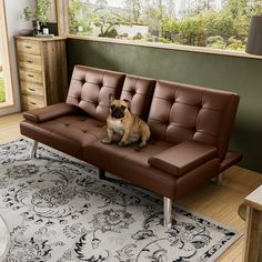 a pug dog sitting on top of a futon couch in a living room