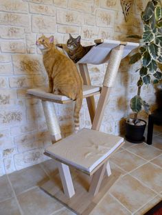 two cats sitting on top of cat furniture in a room with brick wall and potted plant