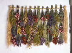 an arrangement of dried flowers hanging on a clothes line with string attached to the wall