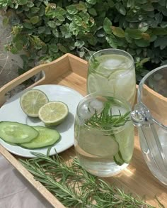 two glasses of water and sliced cucumbers on a wooden tray with greenery