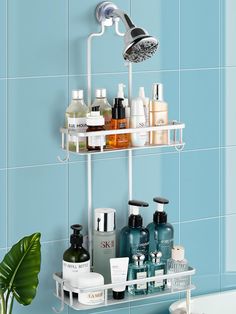 a bathroom shelf filled with personal care items and a shower head mounted on the wall