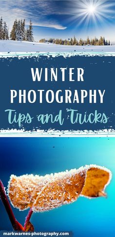 the words winter photography tips and tricks in front of a snowy landscape