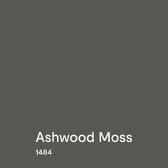 A swatch of BM Ashwood Moss paint Bm Ashwood, Ashwood Moss Benjamin Moore, Ashwood Moss, Cinnamon Slate, Sw Sea Salt, Moss Paint, Trends 2025, Benjamin Moore Colors, Benjamin Moore Paint