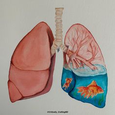 a drawing of the lungs and goldfish