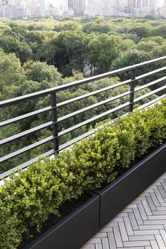 a balcony with plants on the side and a view of trees in the back ground