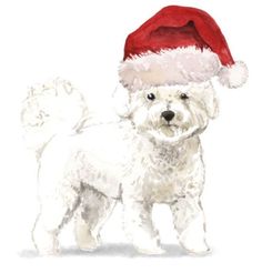 a white dog wearing a santa hat on top of it's head and standing in front of a white background