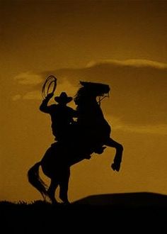 the silhouette of a person on a horse with a lasso in his hand, against an orange sky