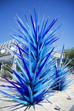 a blue plant sitting on top of a cement ground