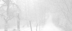 a person walking down a snow covered path in the woods on a cold winter's day