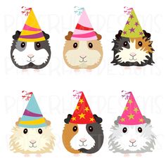 four guinea pigs wearing party hats