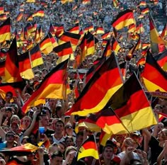 a large group of people holding flags in the air