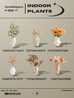 an advertisement with flowers in vases and numbers on the front cover for indoor plants