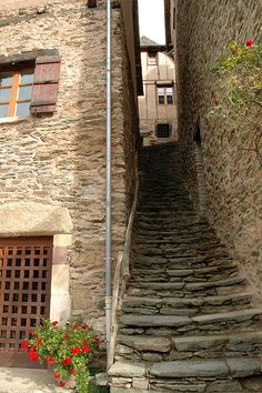 an old stone building with steps leading up to the door and flowers growing on the outside