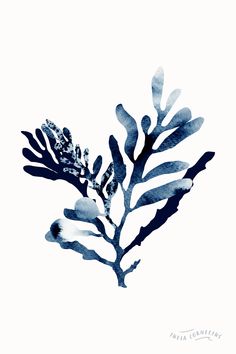 a watercolor painting of a blue sea plant