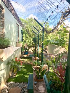 an outdoor garden area with plants and potted plants