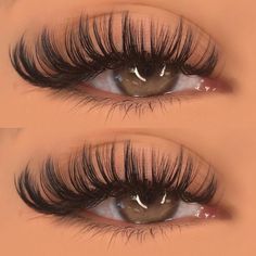 Full Wispy Cat Eye Lash Extensions, Long Wispy Cat Eye Lash Extensions, Wetset Lash Extensions, Wet Cat Eye Lashes, Wet Lashes Look Extensions Cat Eye, Mega Classic Lashes, Dramatic Cat Eye Lash Extensions, Cat Eye Lash Extensions Volume, Cateye Eyelashes Extensions