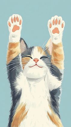 a cat with its paws up in the air