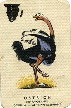 an ostrich playing card from the early 20th century