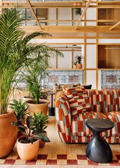 a living room filled with lots of furniture and potted plants