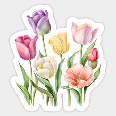 colorful tulips sticker with green leaves on the bottom and pink, yellow, purple, and white flowers in the middle