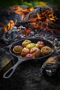 apples are cooked in a skillet over an open fire