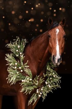 a brown horse standing next to a christmas wreath