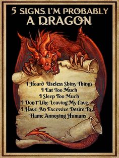 a poster with the words 5 signs i'm probably a dragon