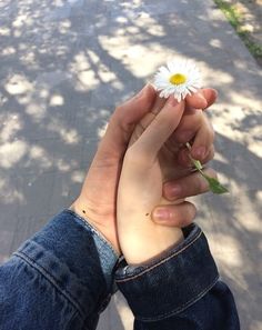 a person holding a flower in their hand