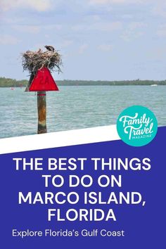 the best things to do on marco island, florida explore florida's gulf coast