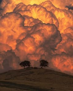 the sky is filled with clouds and two trees are silhouetted against them on top of a hill