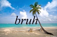 a palm tree sitting on top of a sandy beach next to the ocean with the word bruh written below it