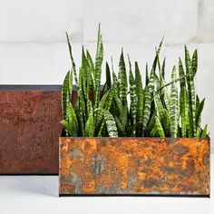 two metal planters with plants in them on a white surface, one is rusted and the other has green leaves