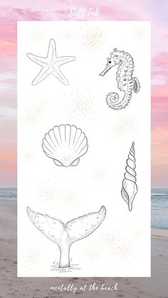 an ocean scene with shells and seahorses