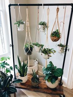 several hanging plants in pots on a wooden table