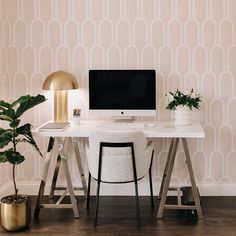 a white desk with a computer on top of it next to a potted plant