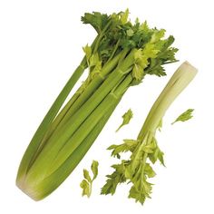 Celery Aldi. There are any references about Celery Aldi in here. you can look below. I hope this article about Celery Aldi can be useful for you. Please remember that this article is for reference purposes only. #celery #aldi