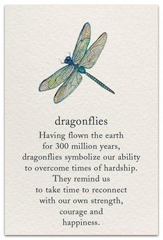 a card with an image of a dragonfly on it's back and the words,