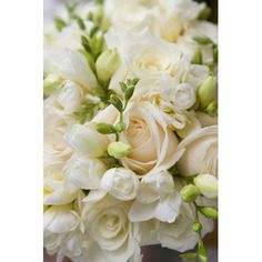 a bouquet of white flowers in a vase