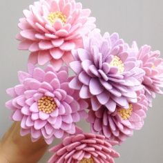 pink and purple flowers are held in a person's hand