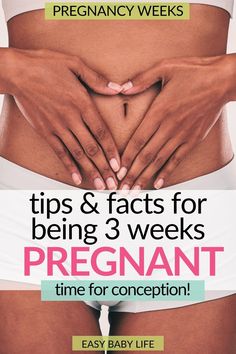 3 weeks pregnant and NOW you really are pregnant since conception occurs. YAY! Bookmark this detailed pregnancy guide to your pregnancy week by week with all belly facts, baby size and development, pregnancy symptoms, and to-do lists. Get ​ ​pregnancy facts and info for all trimesters of pregnancy. Amazing for a new mom! (Also good for mamas who like: pregnancy tips, pregnancy advice, pregnancy stages, pregnancy months, first trimester pregnancy, getting pregnant, first pregnancy)