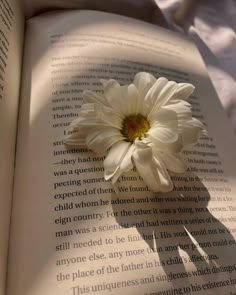 a white flower sitting on top of an open book with the shadow of it's petals