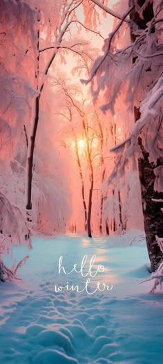 a snowy landscape with trees and the words hello winter