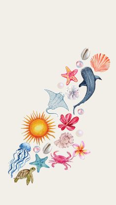 an image of sea animals with shells and starfishs in the air on a white background