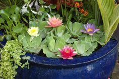 a blue pot filled with lots of different types of flowers and plants next to each other