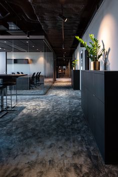 an empty office with chairs and plants in the middle