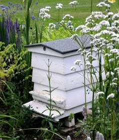 a beehive sitting in the middle of some flowers and plants next to it