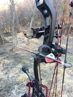 a bow that is in the grass near some trees